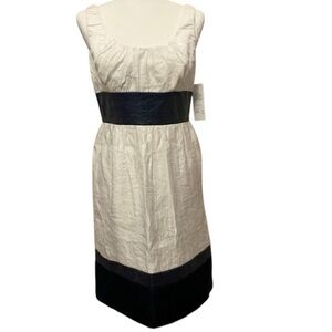 Adrianna Papell cocktail dress with shimmer finish & dark waistband SIZE 4 NWOT